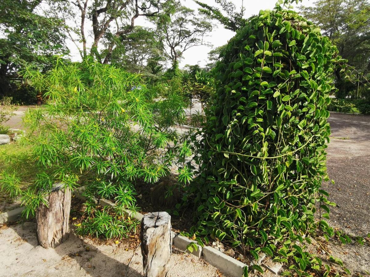 كاتيما موليلو Happy Forest B&B المظهر الخارجي الصورة