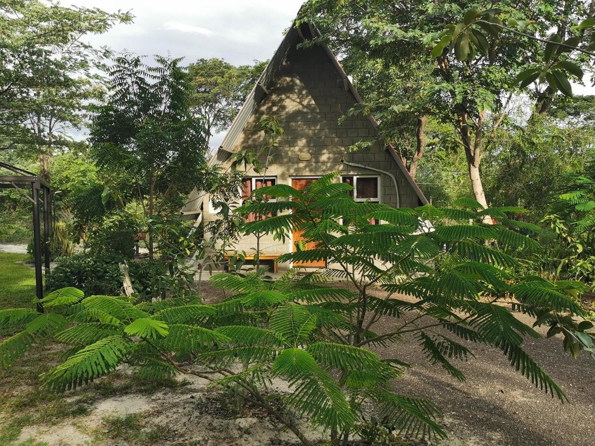 كاتيما موليلو Happy Forest B&B المظهر الخارجي الصورة