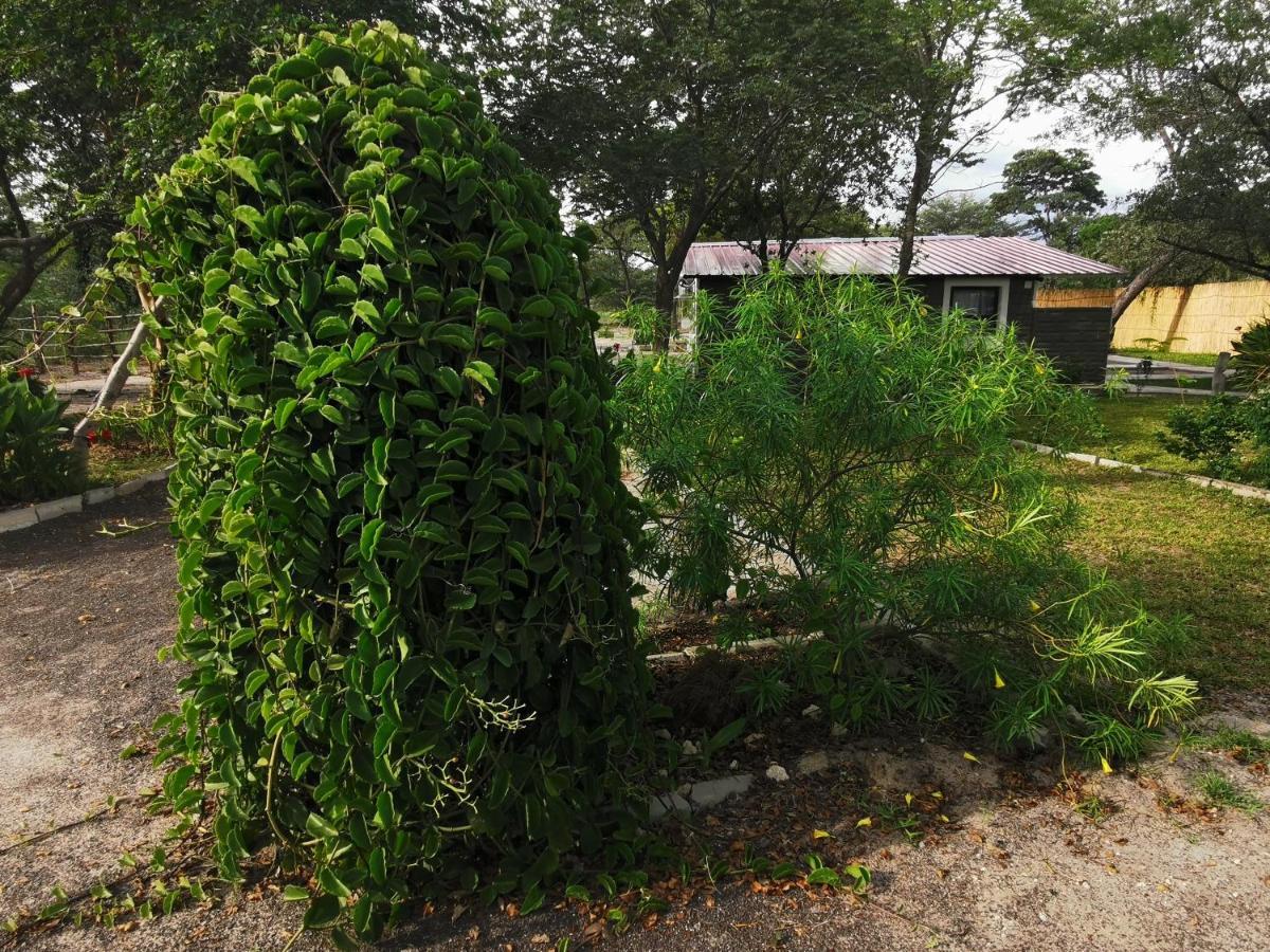كاتيما موليلو Happy Forest B&B المظهر الخارجي الصورة