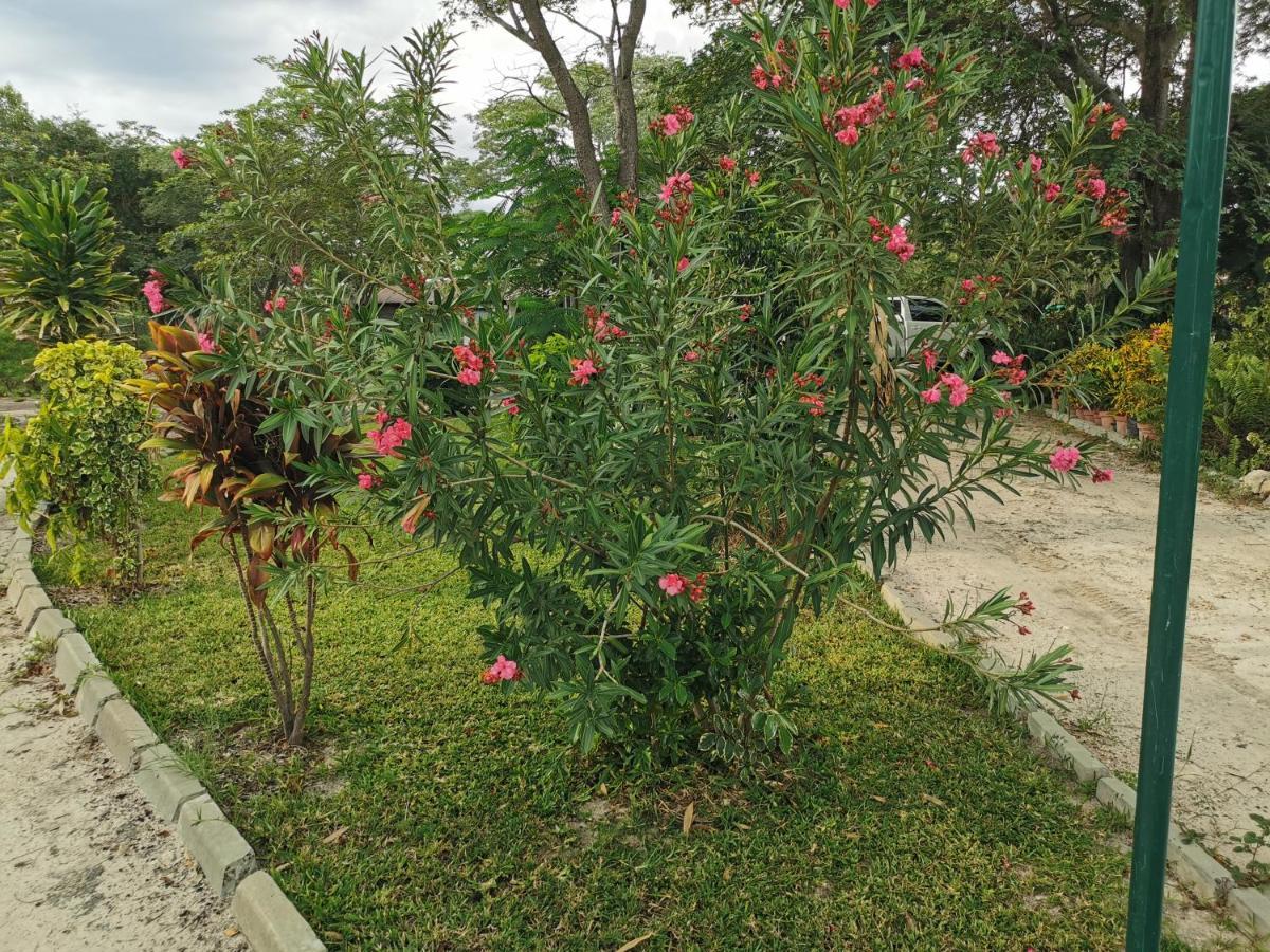كاتيما موليلو Happy Forest B&B المظهر الخارجي الصورة