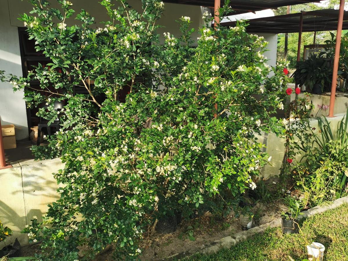 كاتيما موليلو Happy Forest B&B المظهر الخارجي الصورة