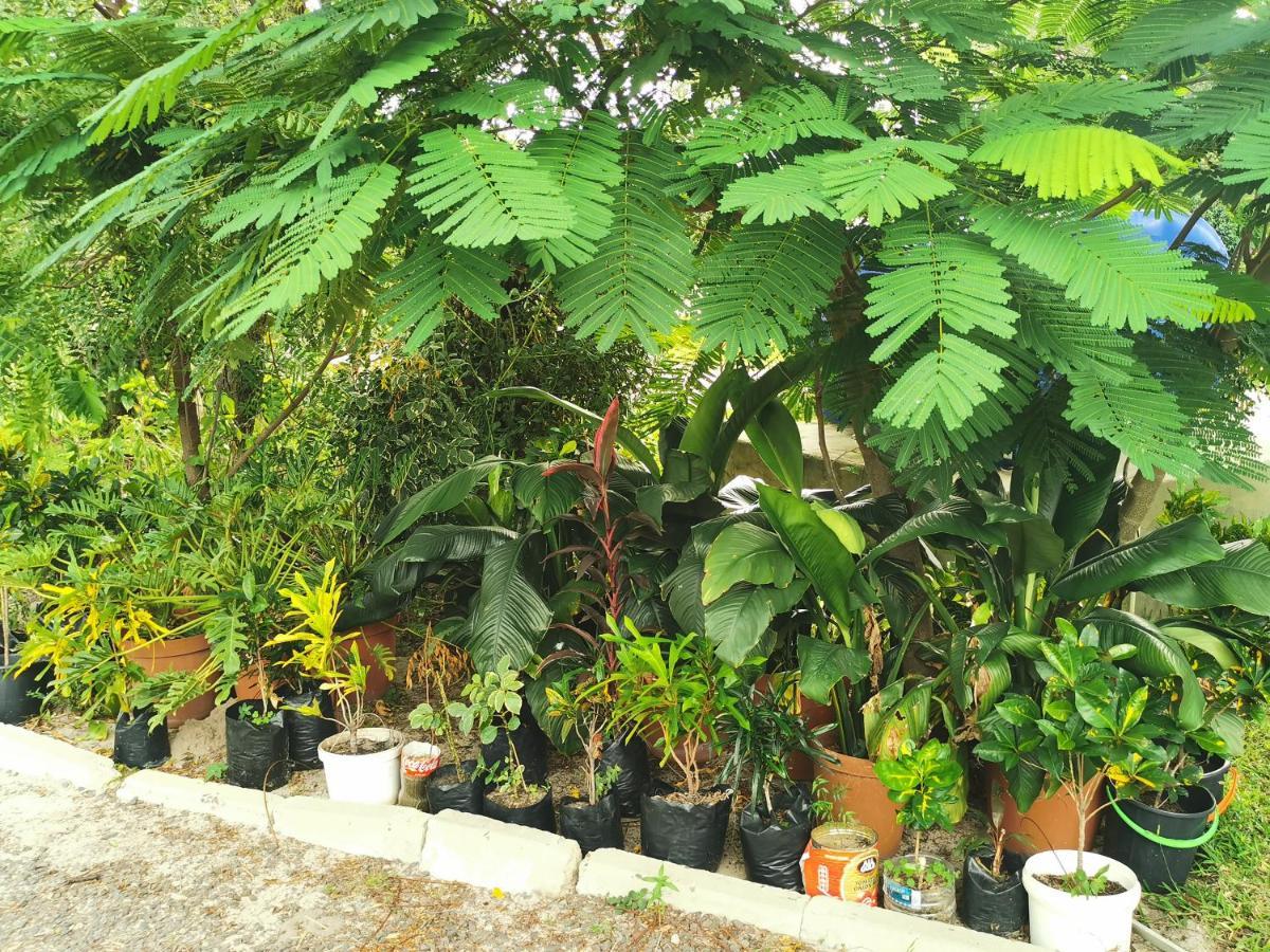 كاتيما موليلو Happy Forest B&B المظهر الخارجي الصورة